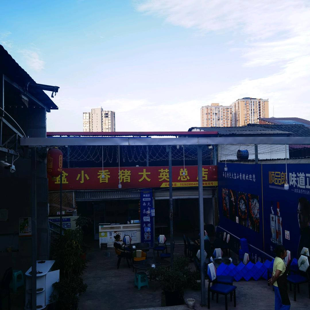 魁山坡火盆小香猪(大英总店)官方号