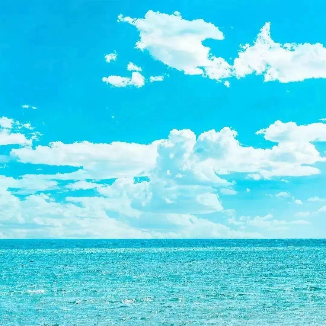 意念传媒直播号