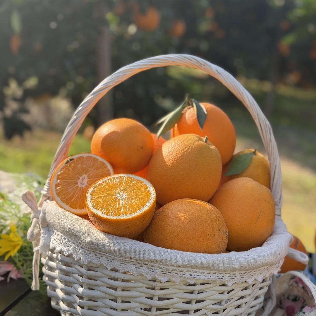 宜都橙梦家庭农场官方号