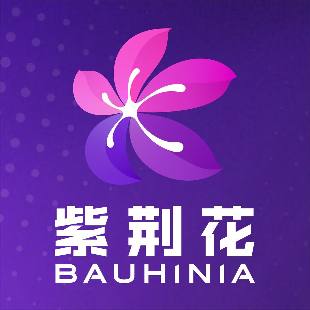 小胖嗨呆