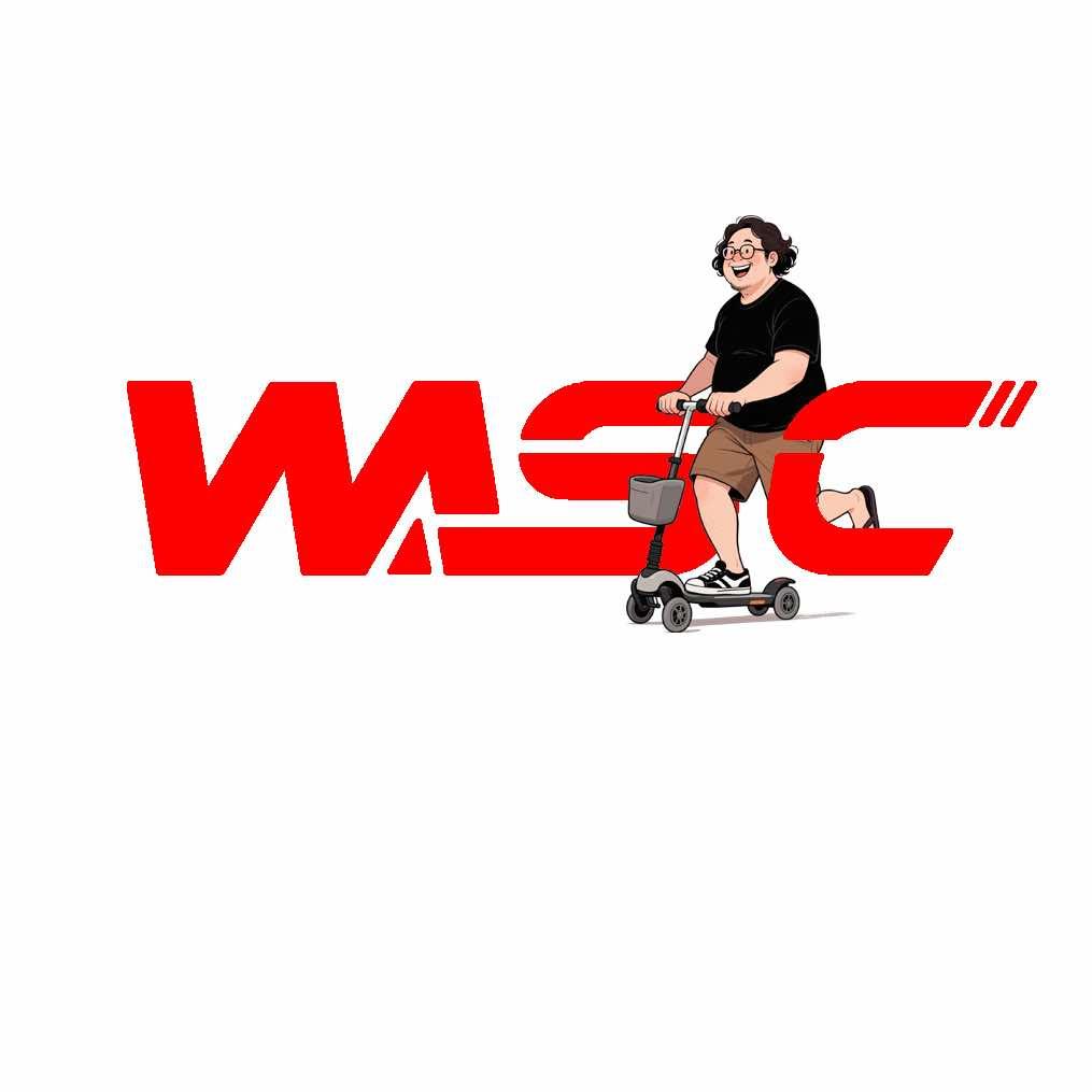 Wasc万奥赛车