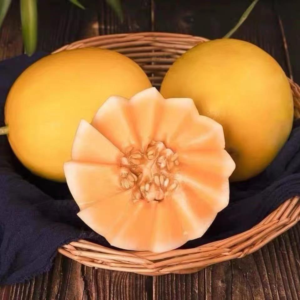荔尊果蔬