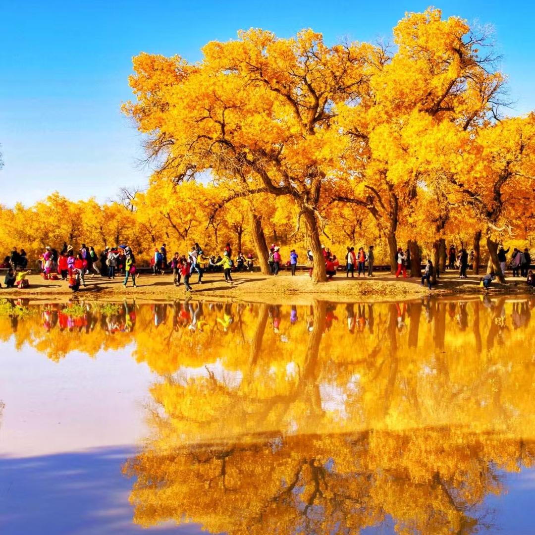 花开富贵六时吉祥未来