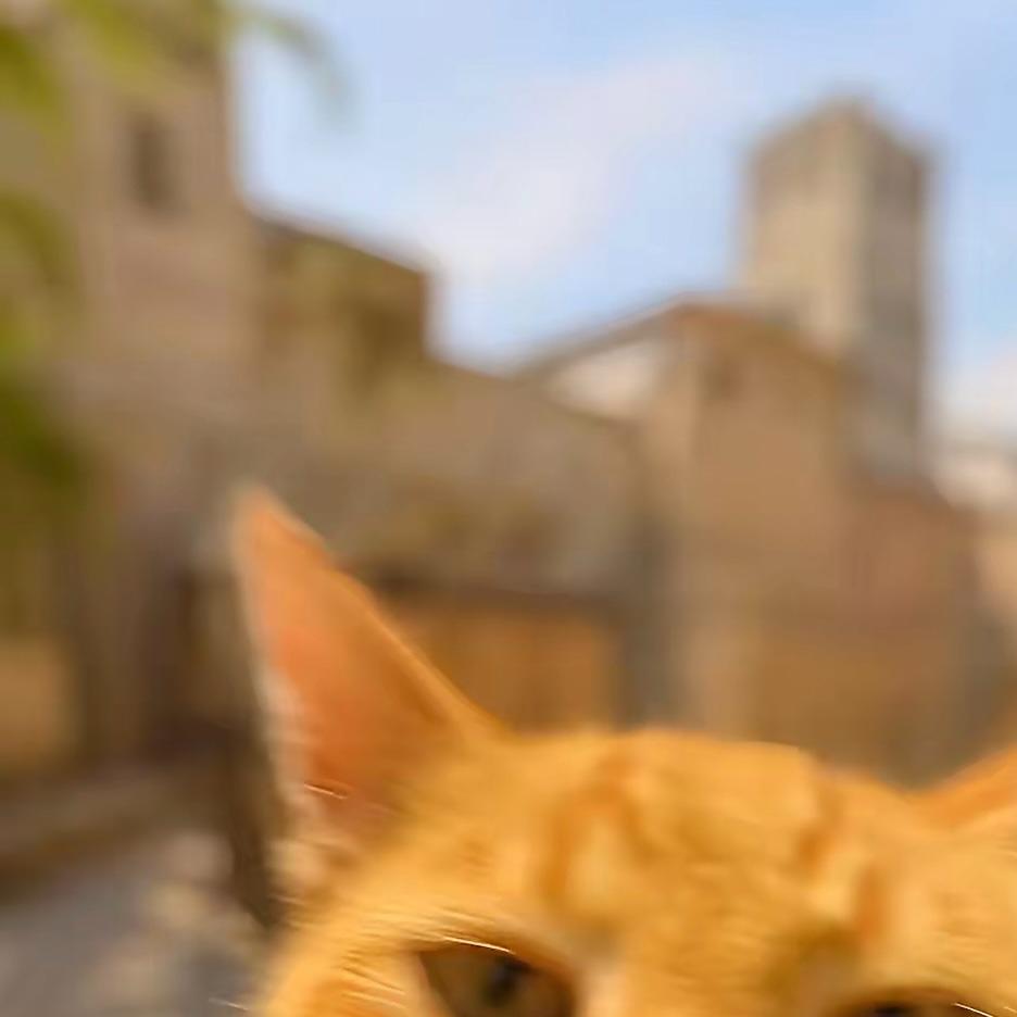 Jeses奚祯嘉直播1号