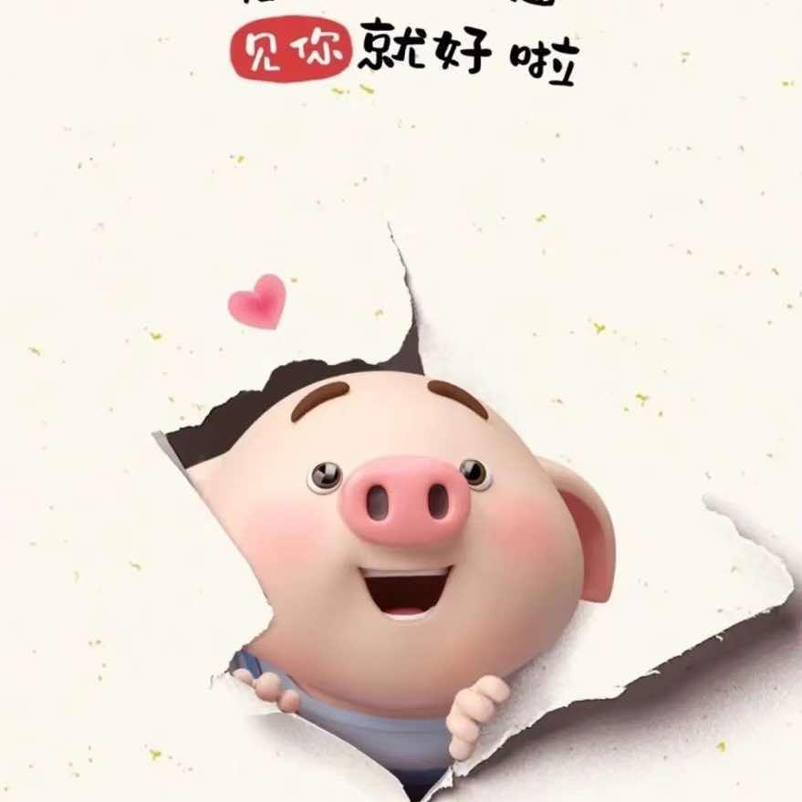 猪宝宝腊汁肉夹馍