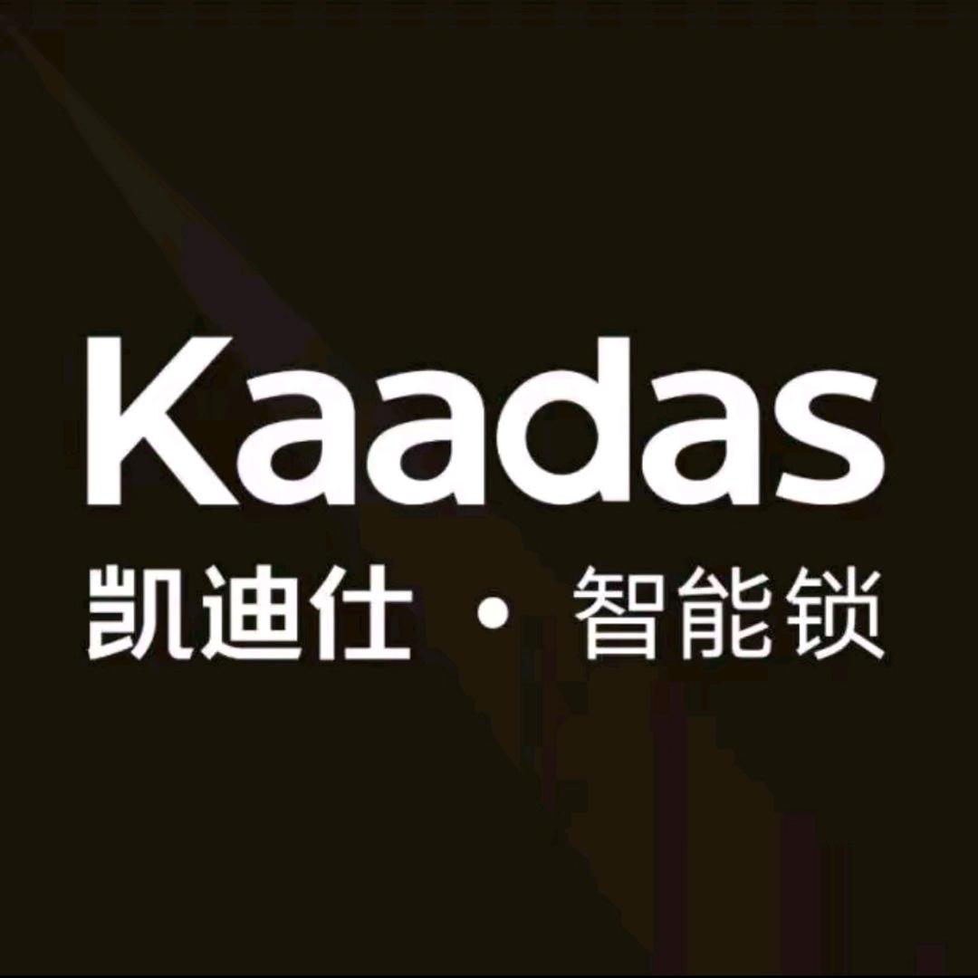 凯迪仕智能锁(忻州红星美凯龙店)