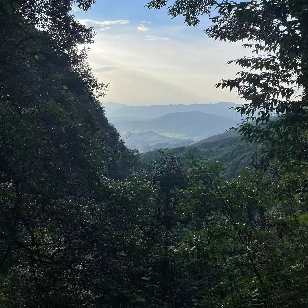 宇顺溪欢直播号