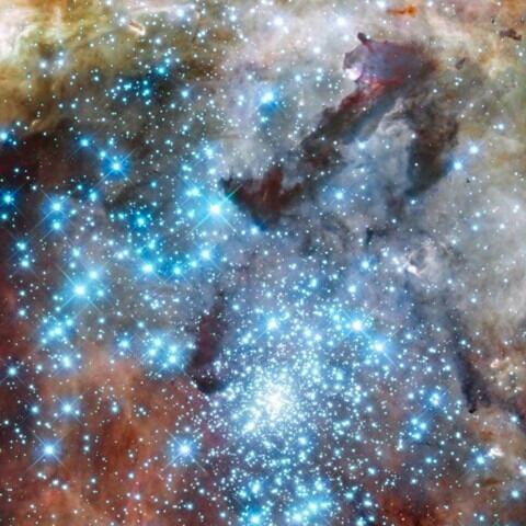 普洱市思茅区雅吖邦生活用品馆月华直播号