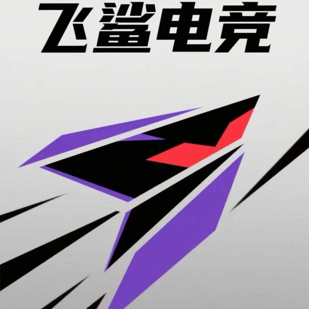 飞鲨电竞网咖官方号