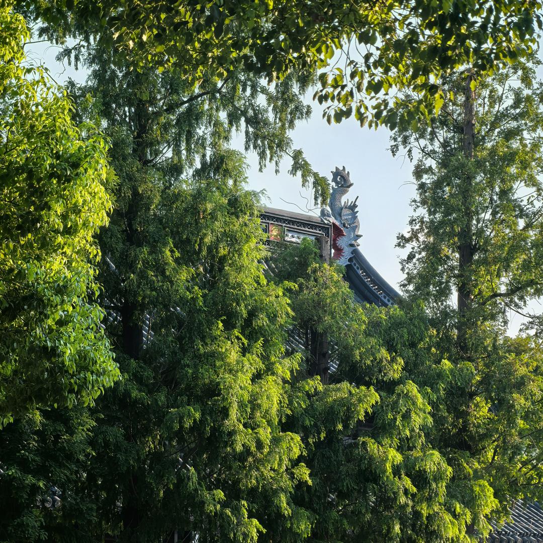 心想事成（义乌市睿资捷）