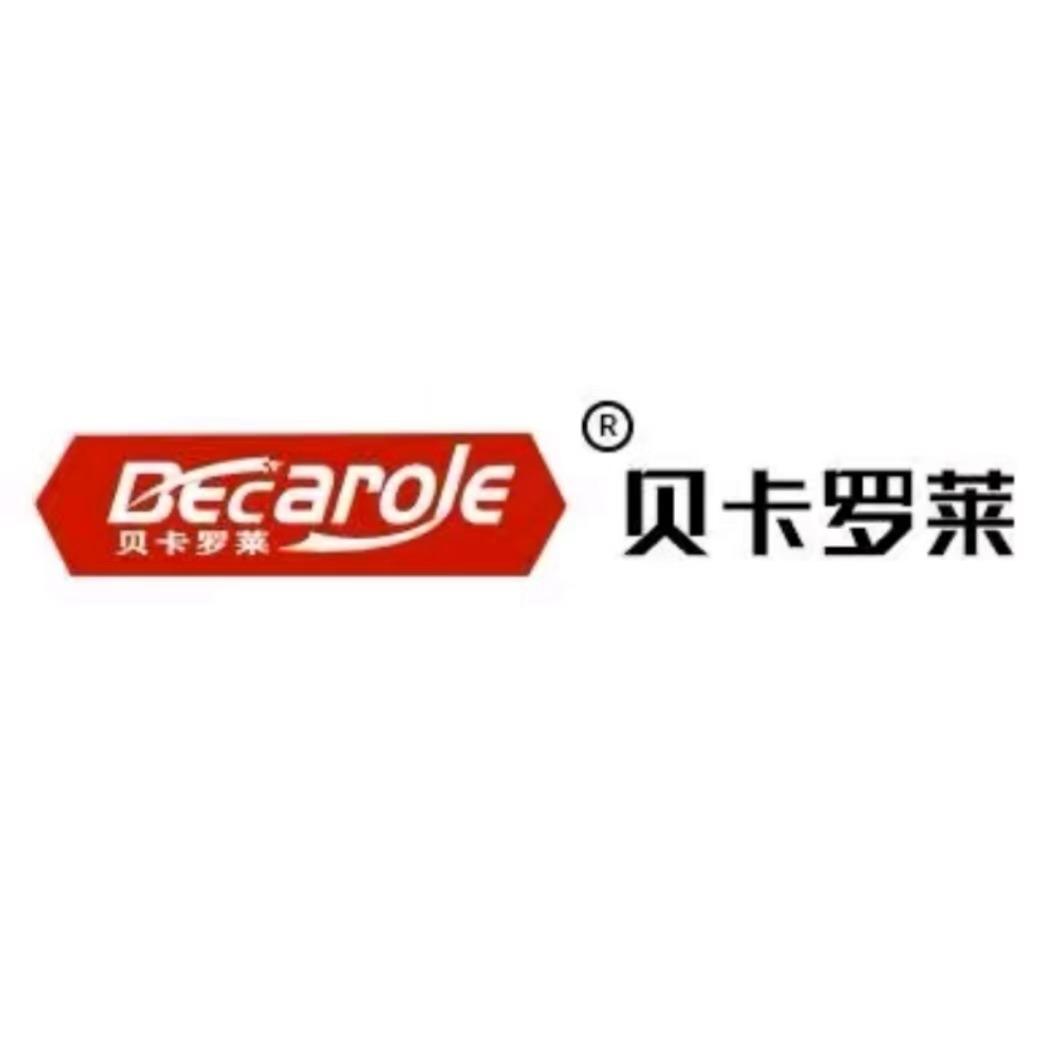 伊山苑Becarole（直播号）