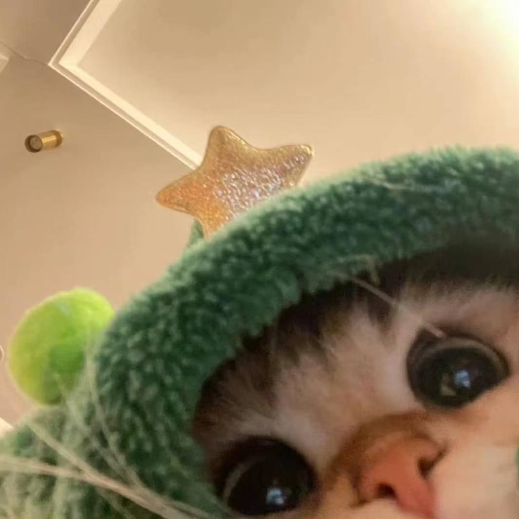 顺清青科技直播号