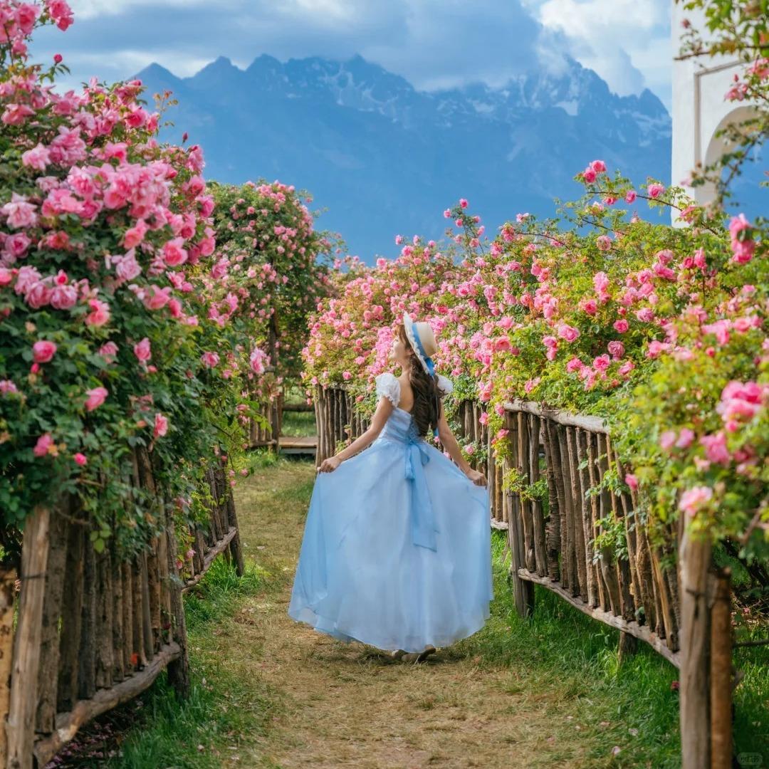 小张导游带你玩北京观途国际旅行社有限公司