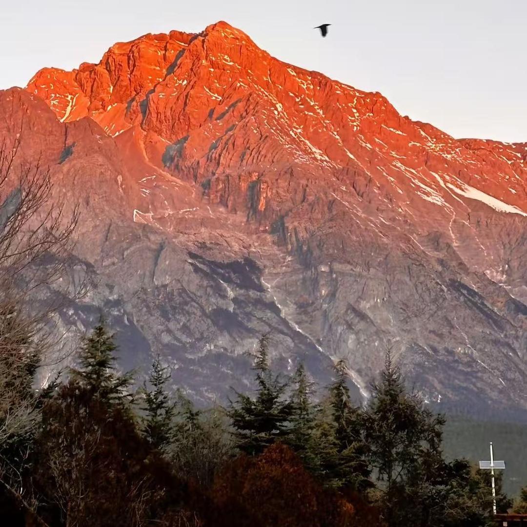 达夕纷飞商贸直播59号
