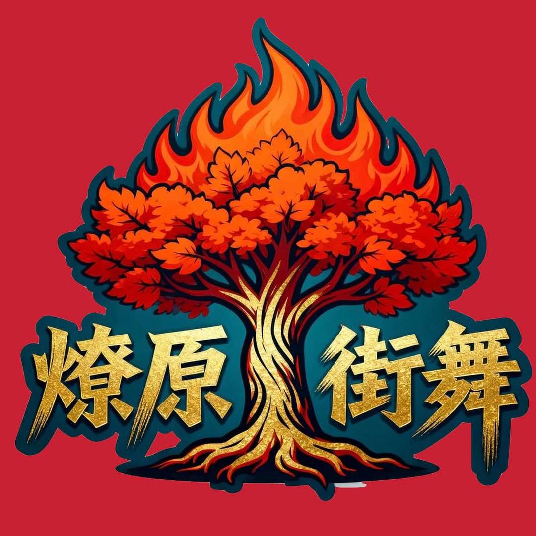 遵义燎原街舞宇晗工作室官方号