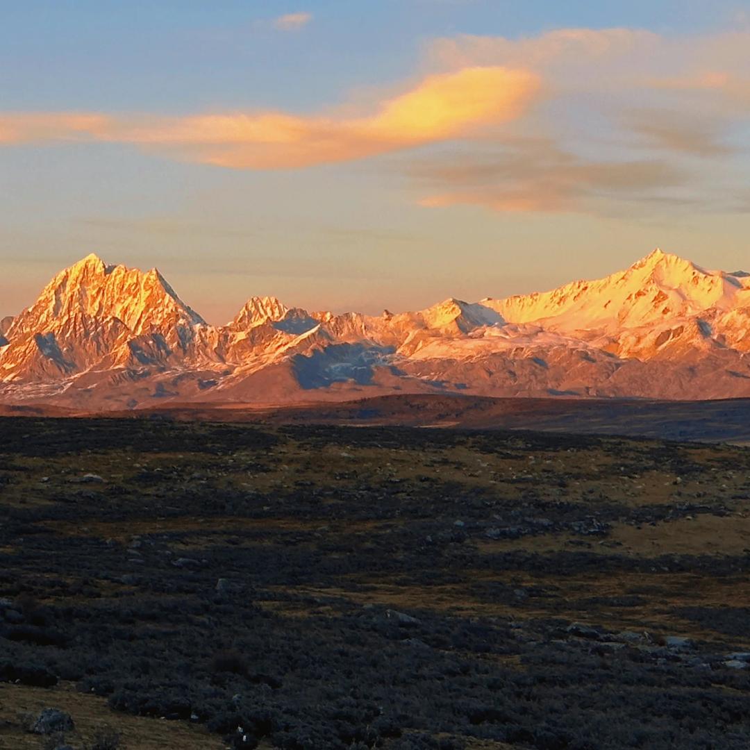 郑润含商贸有限公司