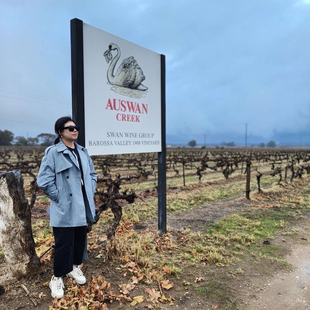 一品恒天鹅庄酒库茶舍（通达街店）