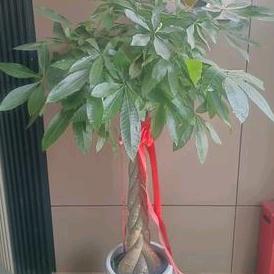 阿拉尔市金尊保健服务馆