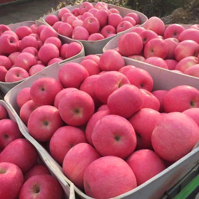 众德肥料(刘家河店)官方号