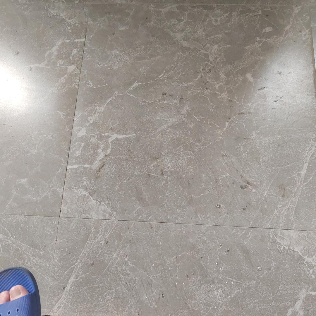 评论评oyt直播号