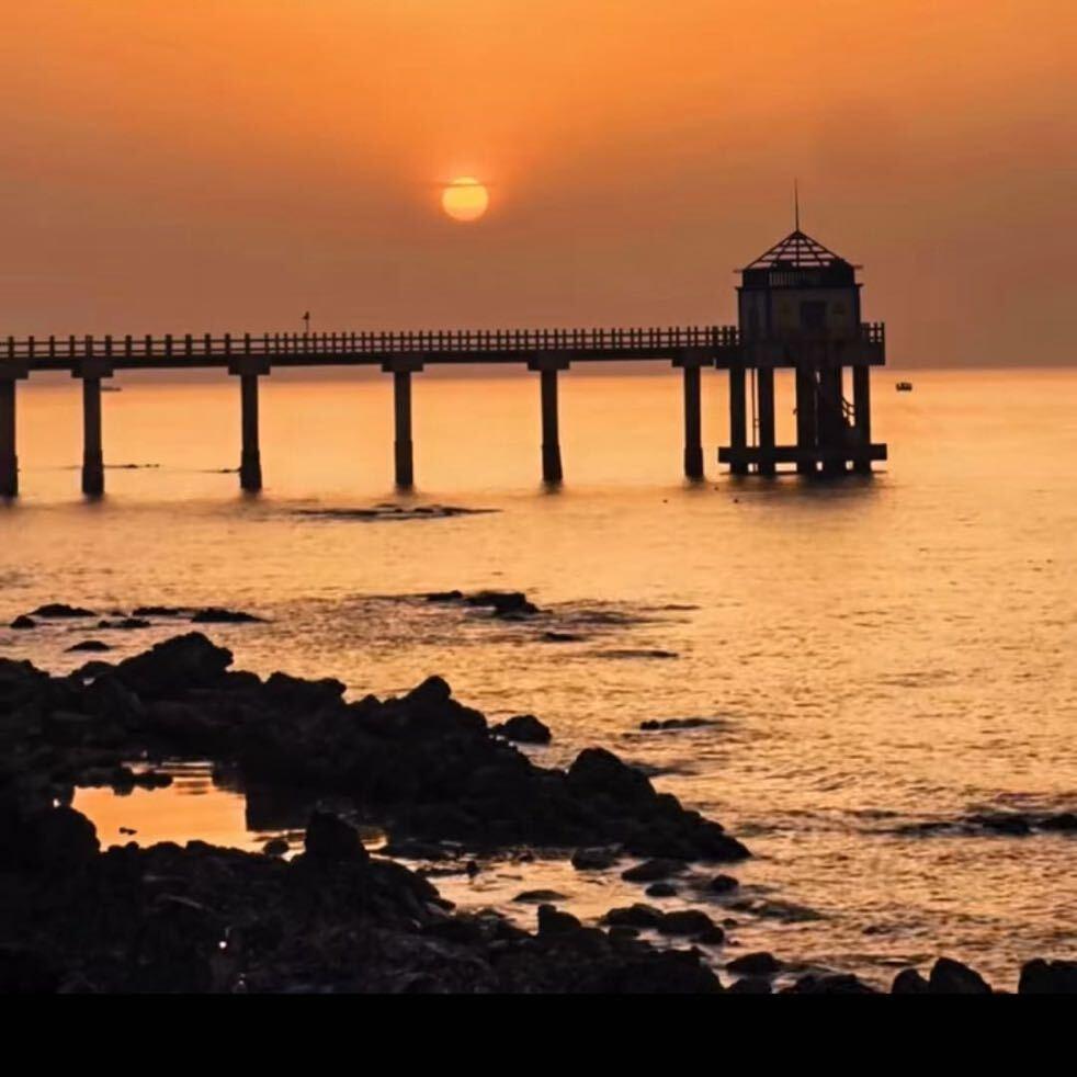 江野大王.阿米西西