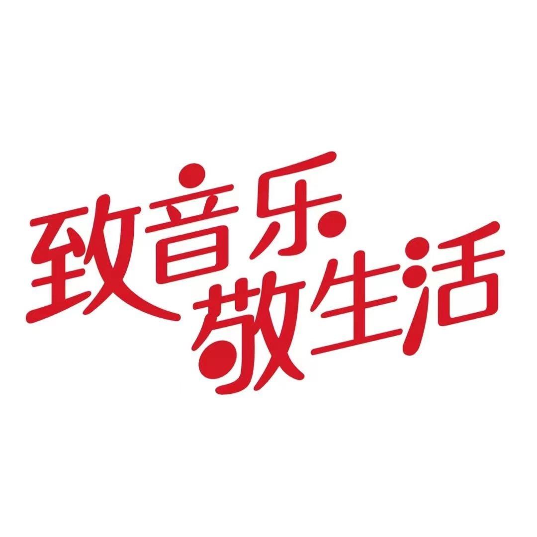 致其知演出现场