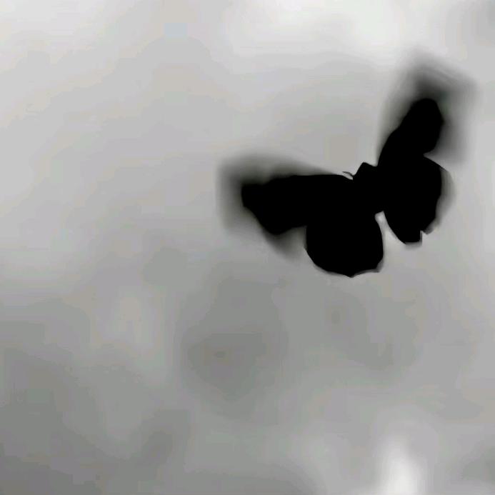 煌之煌
