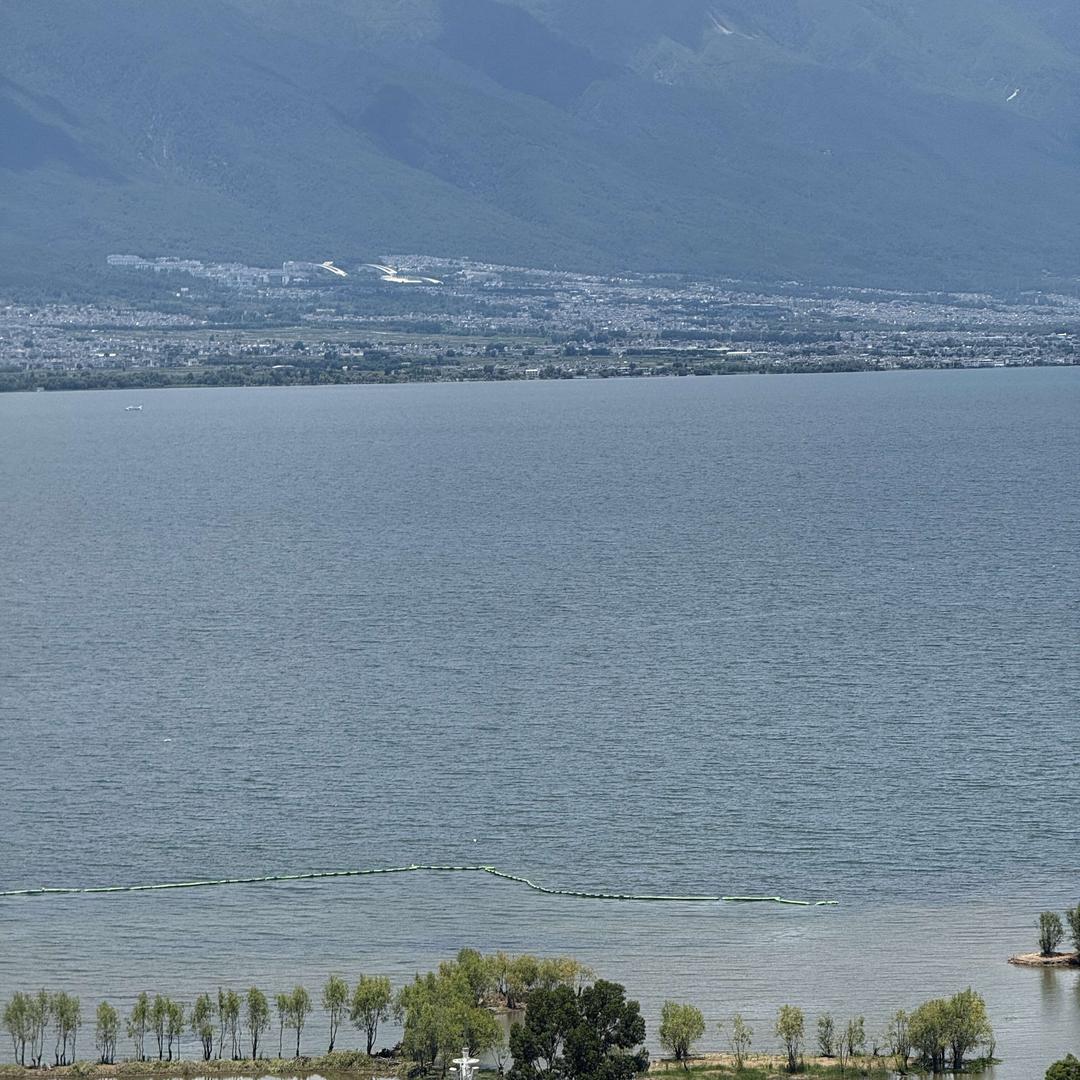 乐巡1直播号