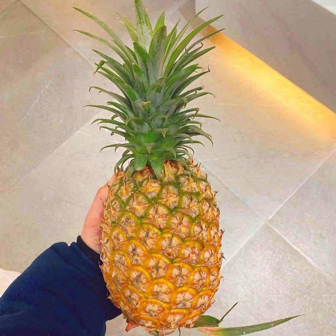 果珍鲜·假期小点水果店专用号