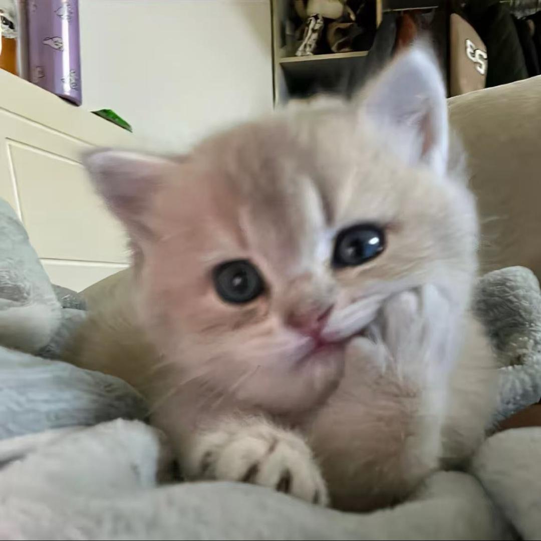 小小月色桌游俱乐部