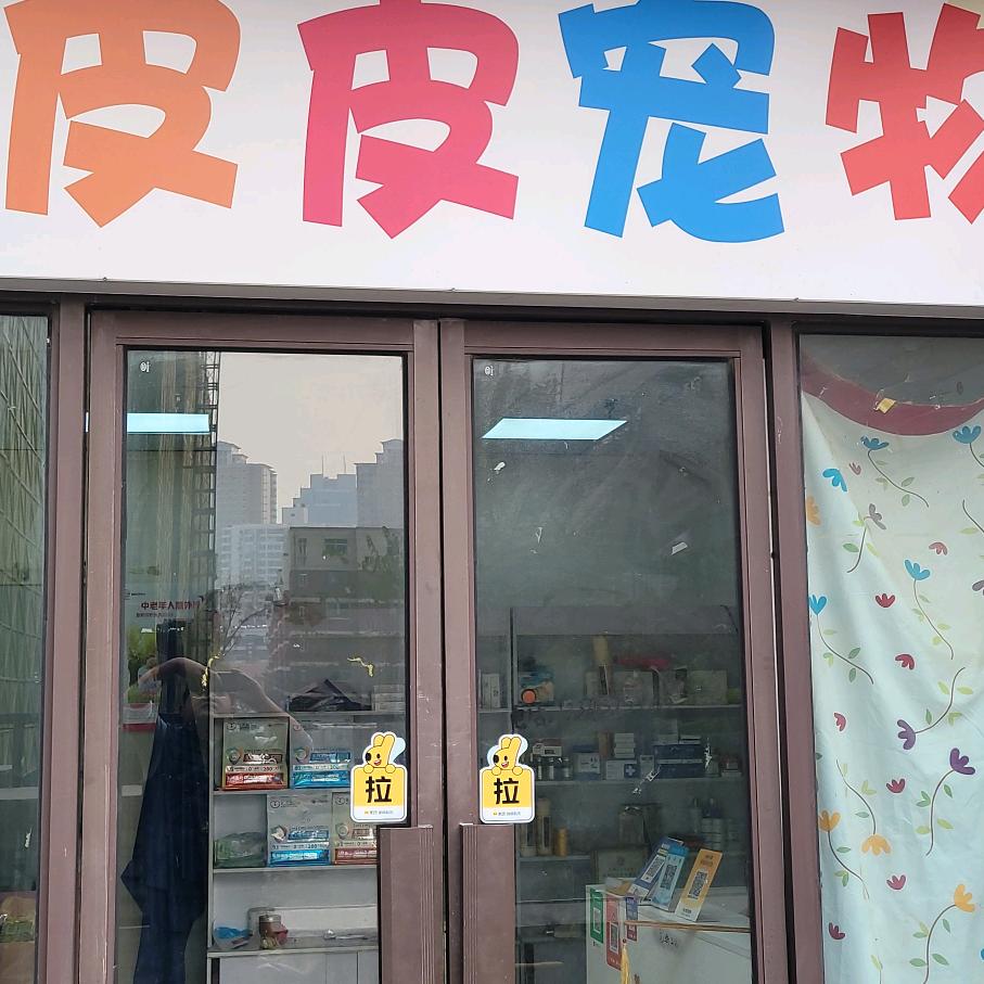 皮皮宠物官方号(百花路宏江翰苑店)