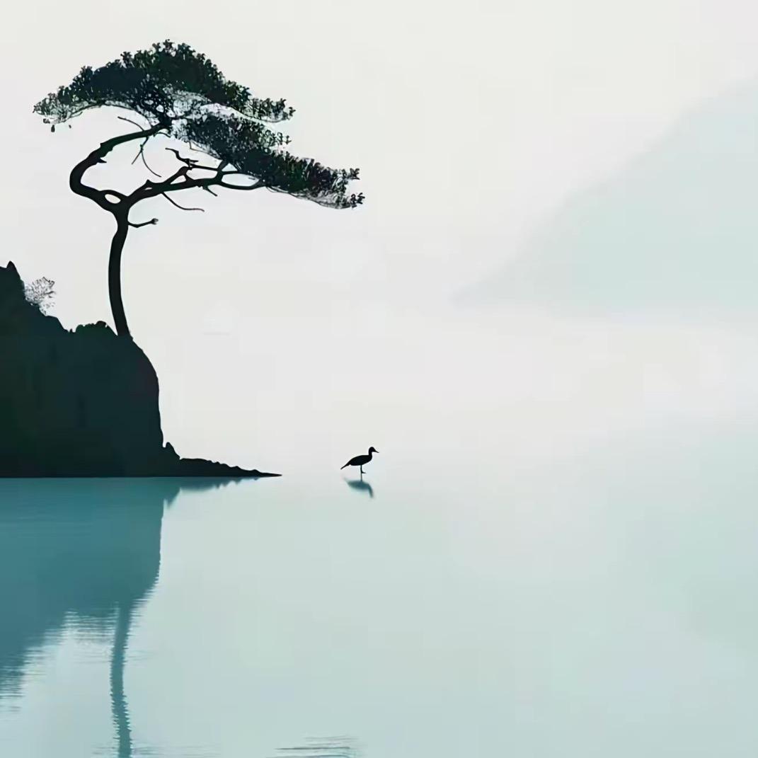 慧渠承晨光与微风