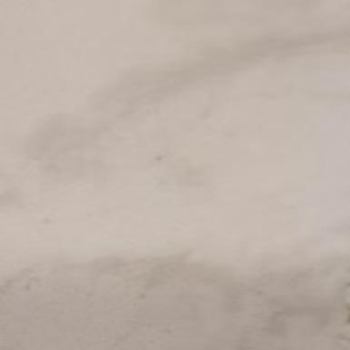 游戏人生16直播号