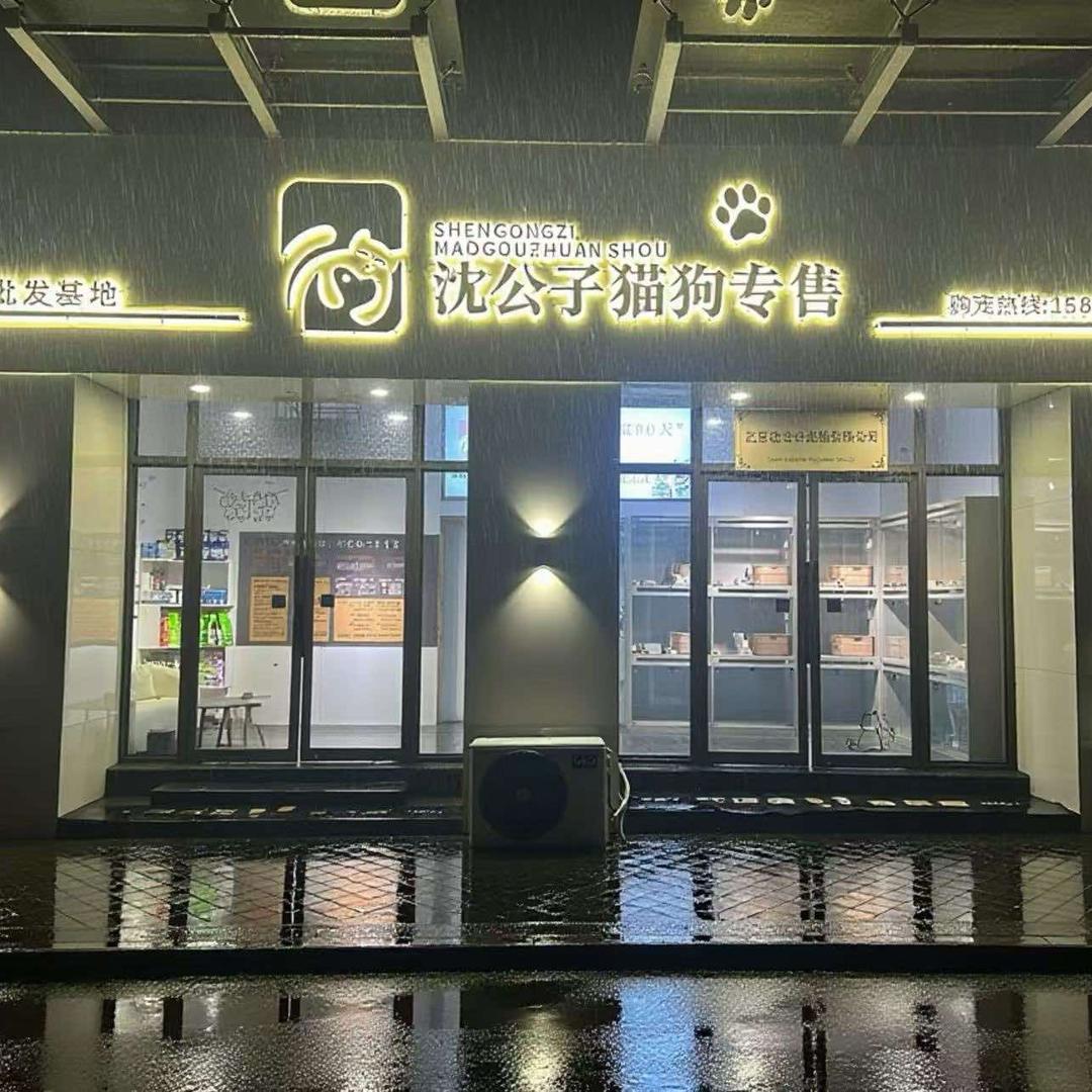 沈公子猫狗官号