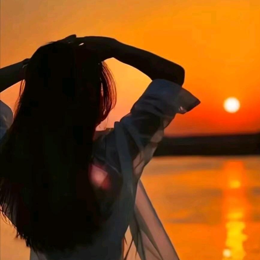 心藏月光