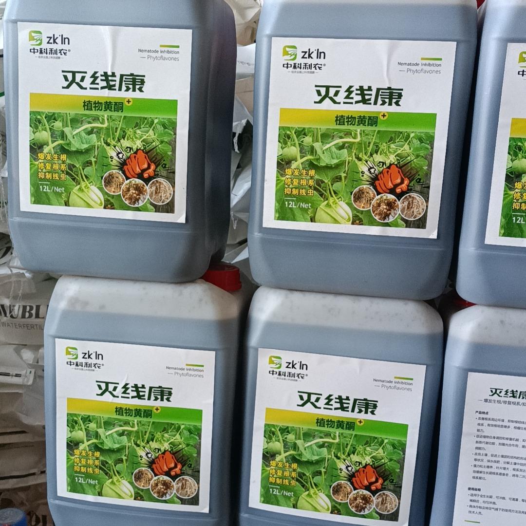 专业防治线虫