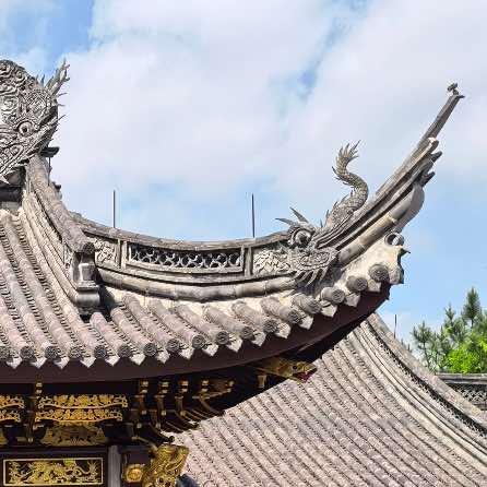 琦顶—荷花