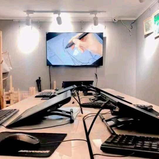 灵猫美术（板绘）