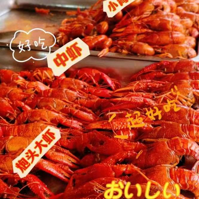 土蚝海鲜龙虾(门市重装明年三月营业)