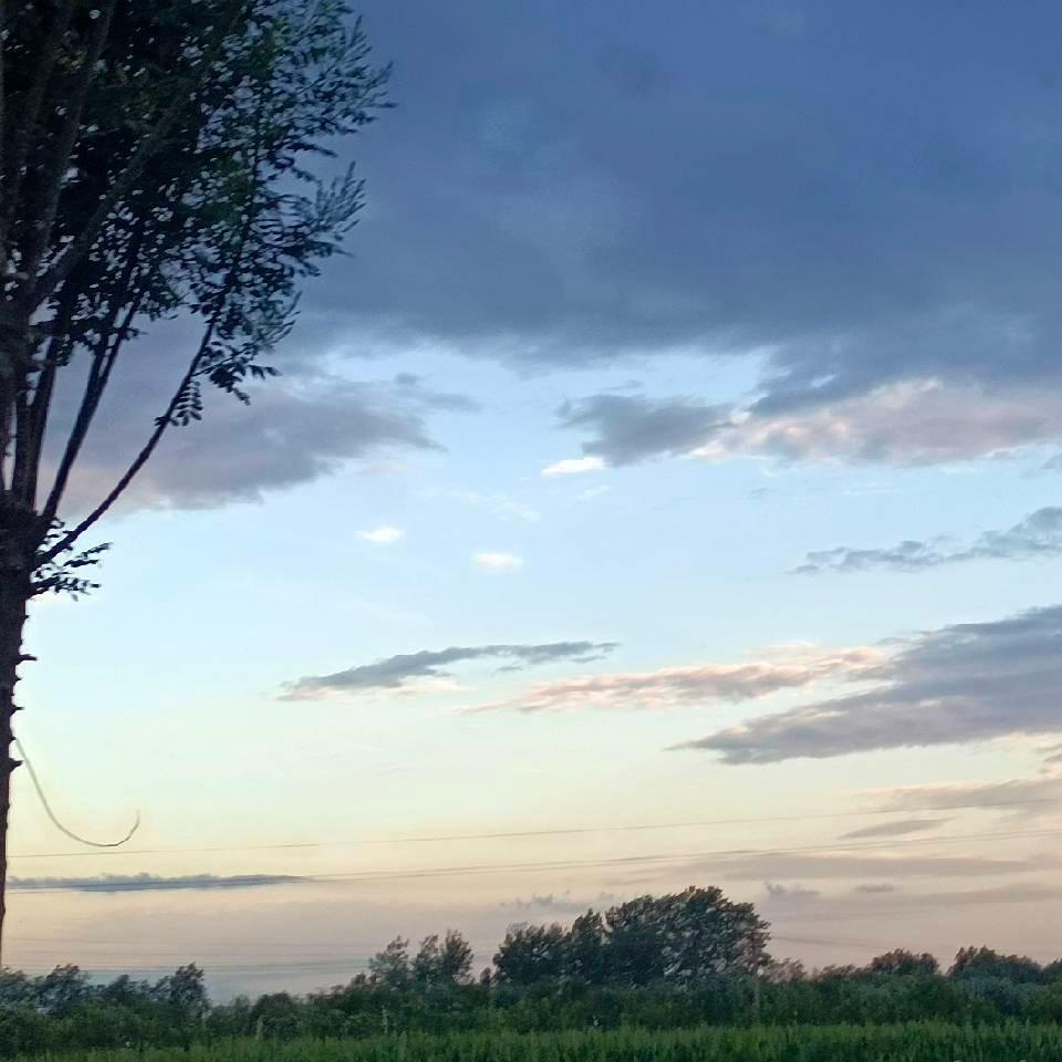 九鸿超市(东城肉菜市场店)九鸿超市直播运营号