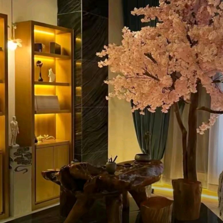 水姑娘日式养生spa香香