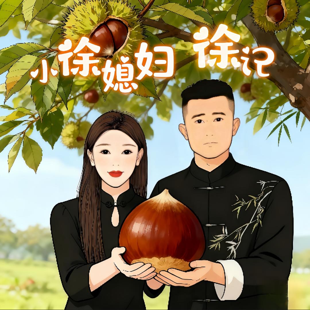 小徐媳妇徐记炒货官方团购号