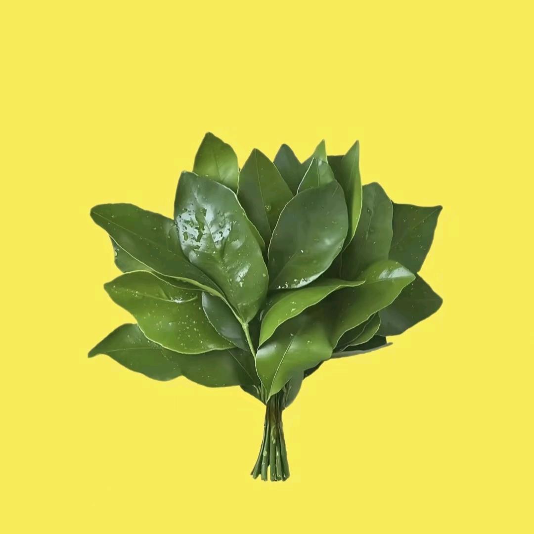 金乡美琪乐女装