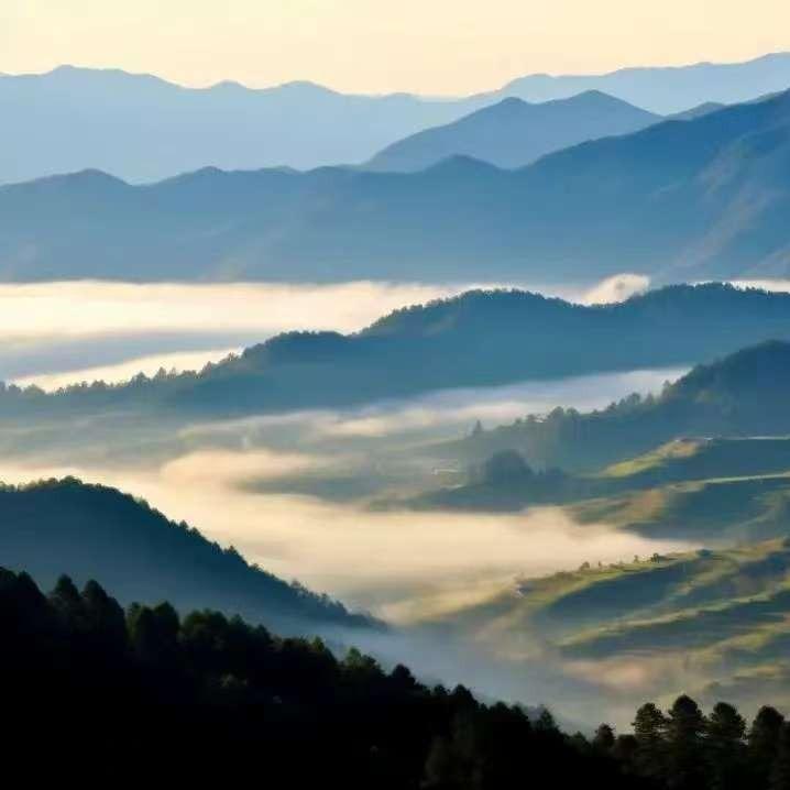 筭&筭直播号