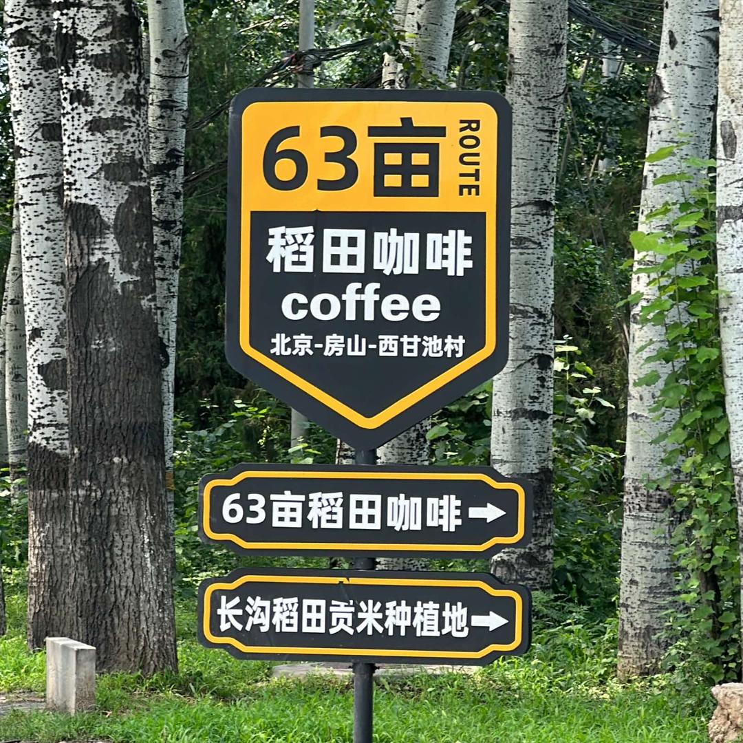 63亩稻田咖啡