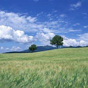 留乡湾团购超开直播号