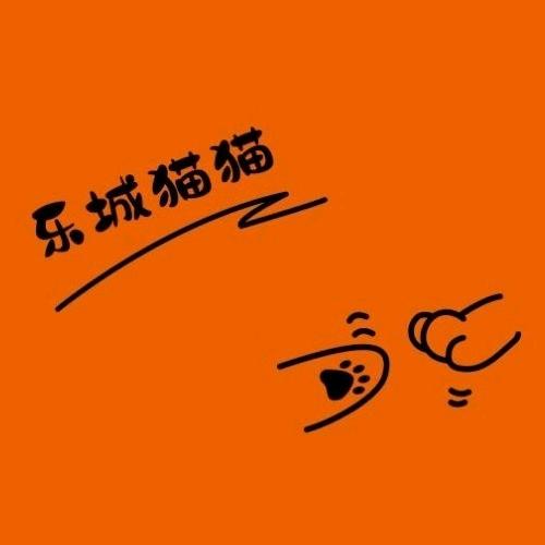 烟台乐城-猫咪寄养酒店