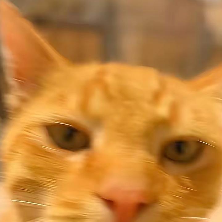 内蒙古巨旋农业科技有限公司