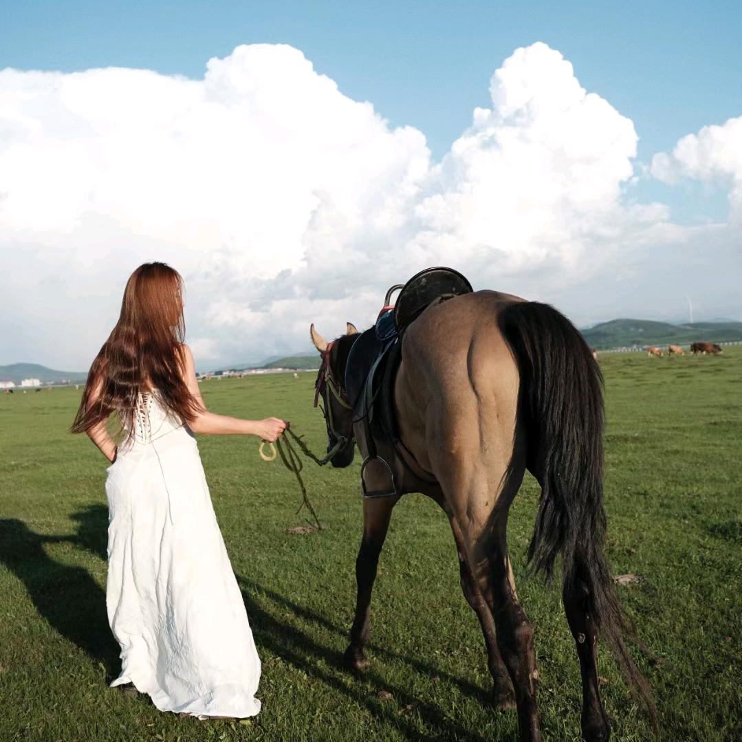 济南所友马术官方号