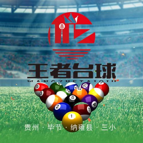 王者台球俱乐部（纳雍新街路三小店）